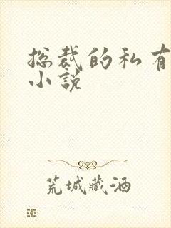 总裁的私有宝贝小说