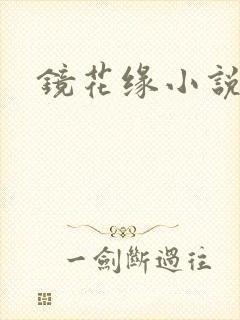 镜花缘小说