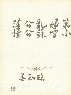 荡公乱妇第1章情公苏雪小说封面