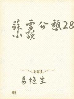 苏雪公憩28篇小说封面