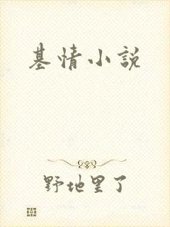基情小说