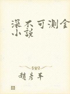 深不可测金银花小说