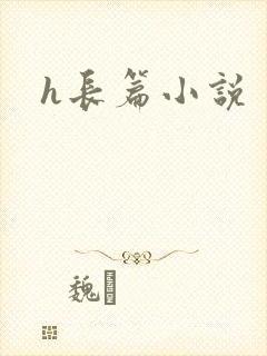 h长篇小说