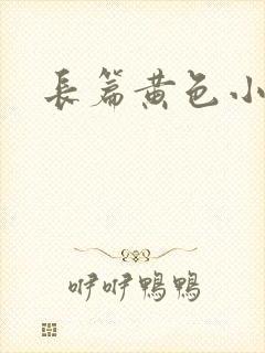 长篇黄色小说封面