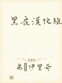 黑夜汉化组封面