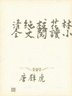 清纯校花林思琪全文阅读小说