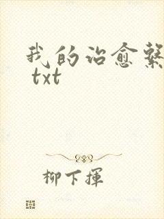 我的治愈系游戏 txt