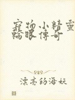 宠物小精灵之写轮眼传奇