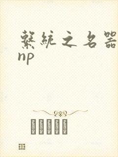 系统之名器攻略np