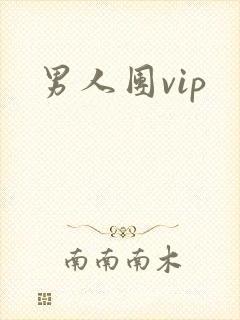男人团vip封面