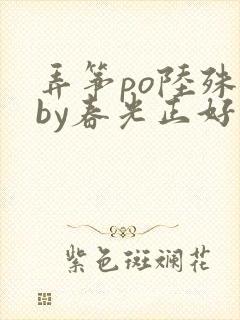 弄筝po陆殊词by春光正好封面