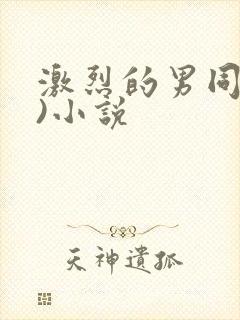 激烈的男同(h)小说