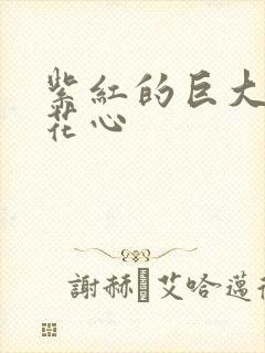 紫红的巨大顶开花心