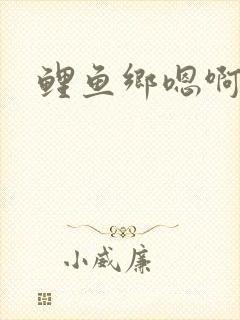 鲤鱼乡嗯啊封面