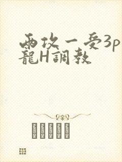 两攻一受3p双龙H调教