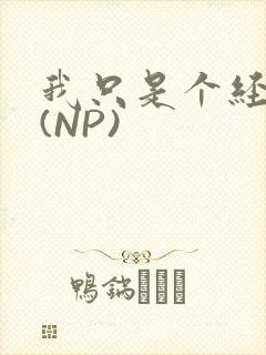 我只是个经纪人(NP)