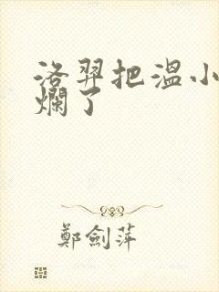 洛羿把温小辉做烂了封面