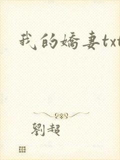 我的娇妻txt封面