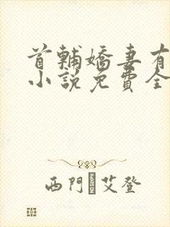 首辅娇妻有空间小说免费全文阅读封面