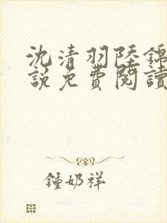 沈清羽陆锦容小说免费阅读最新章节封面