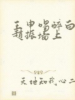 王申喝醉白洁被赵振墙上