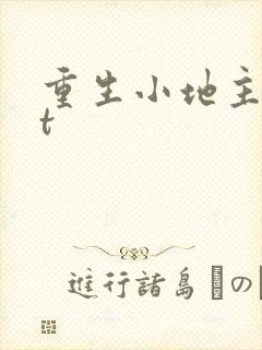 重生小地主txt封面