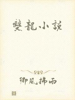双龙小说
