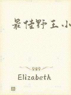 最佳野王小说封面