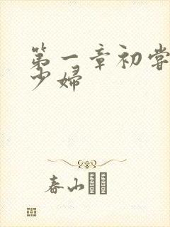 第一章初尝极品少妇