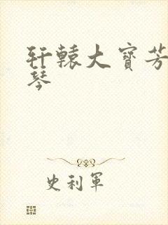 轩辕大宝芳菲雅琴封面