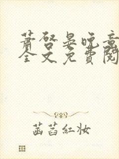 萧启晏晚意小说全文免费阅读封面