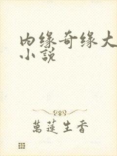 内缘奇缘大团圆小说
