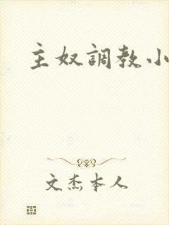 主奴调教小说封面