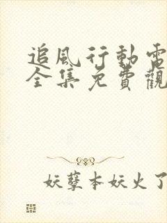 追风行动电视剧全集免费观看