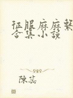 征服麻麻系列大合集小说