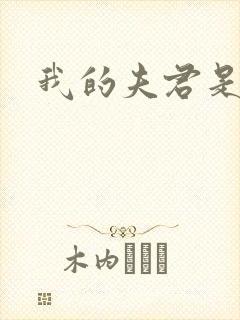 我的夫君是冥王封面