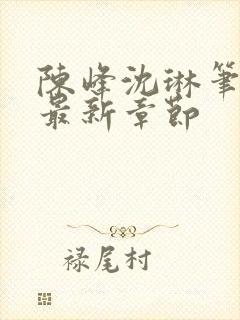 陈峰沈琳笔趣阁最新章节