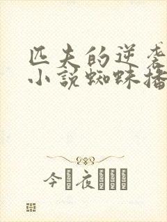 匹夫的逆袭有声小说蜘蛛播音