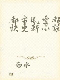 都市风云超前超快更新小说
