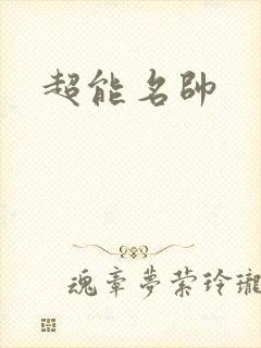 超能名帅封面