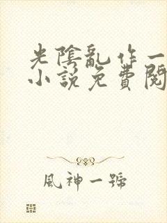 光阴乱作一团的小说免费阅读