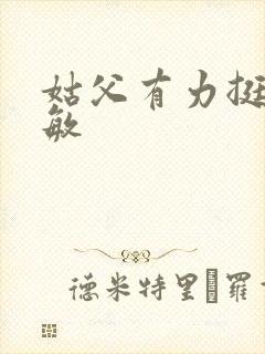 姑父有力挺送赵敏