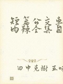 短篇公交车高h肉辣全集目录