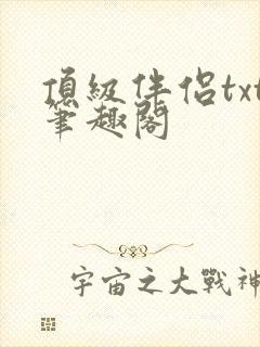 顶级伴侣txt笔趣阁