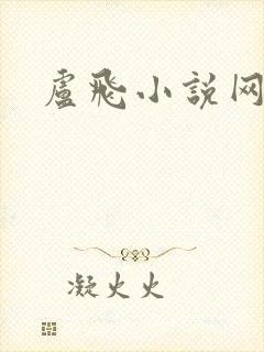 卢飞小说网封面