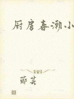 厨房春潮小说