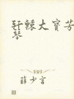 轩辕大宝芳菲雅琴