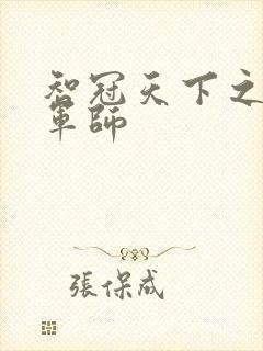 智冠天下之风流军师封面