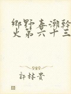 乡野春潮干柴烈火第六十三章封面