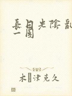 长日光阴 乱作一团封面